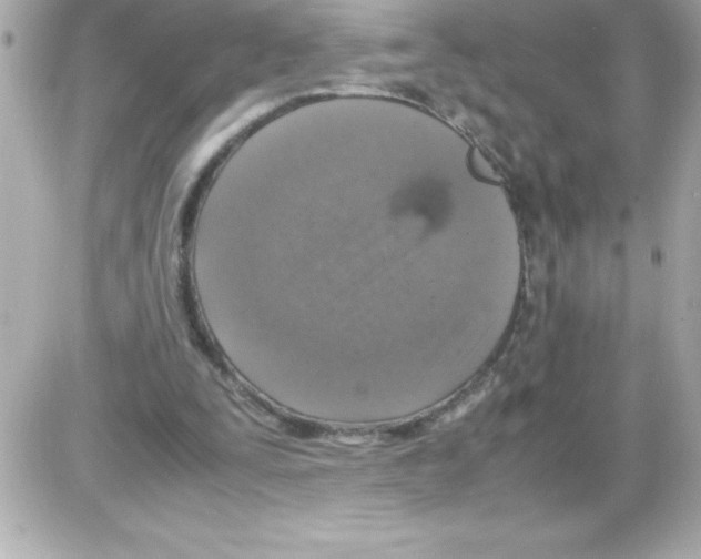 X0000085310295200704092330