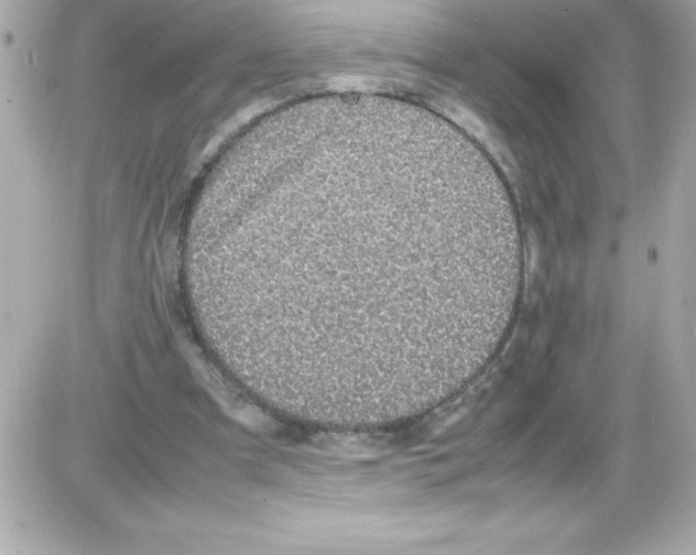 X0000085310297200704092330