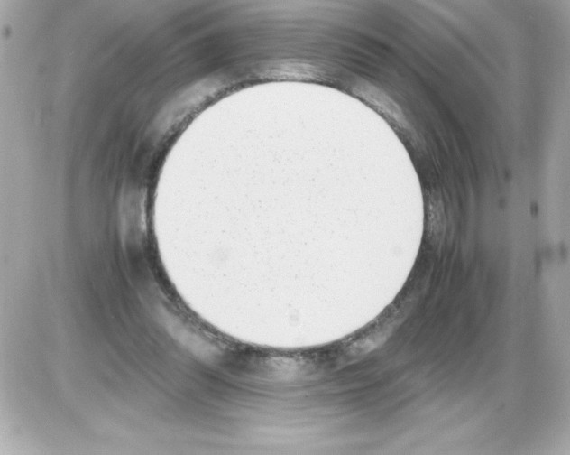 X0000085310302200704092330