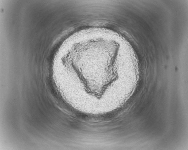 X0000085310303200704092330