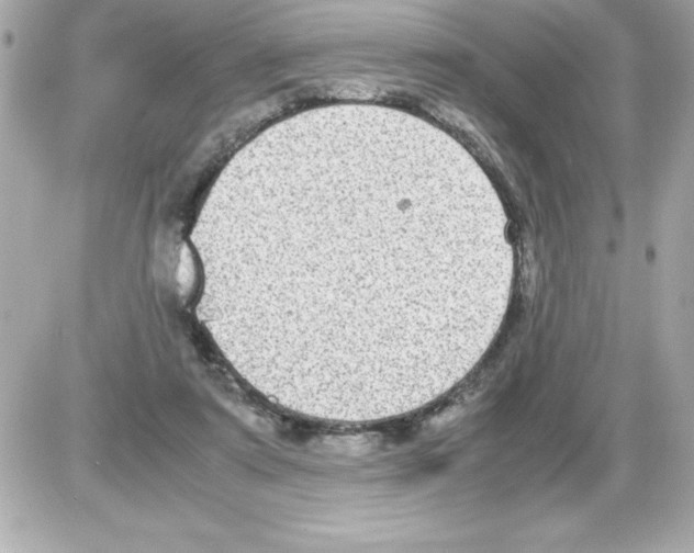 X0000085310307200704092330