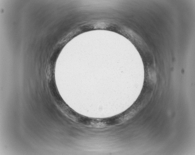 X0000085310311200704092330