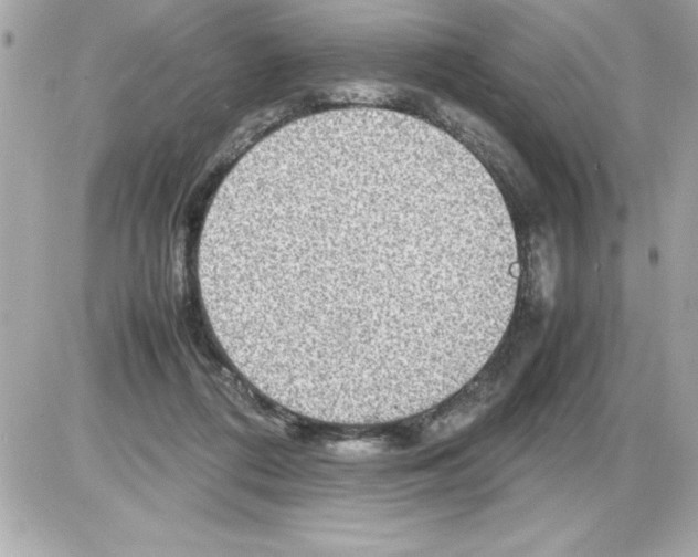X0000085310312200704092330
