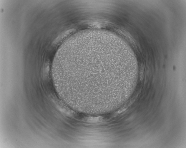 X0000085310314200704092330