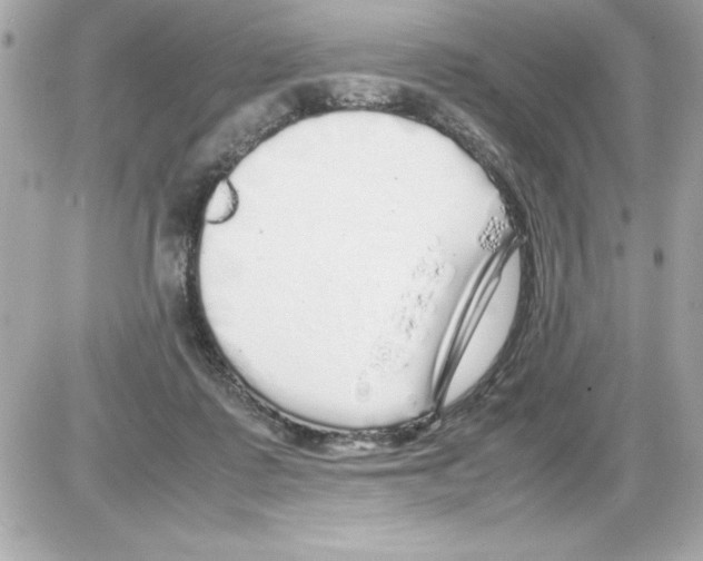 X0000085310315200704092330