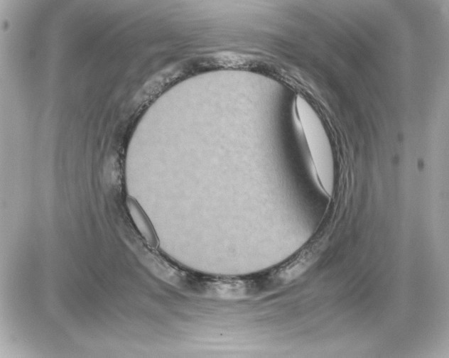 X0000085310317200704092330