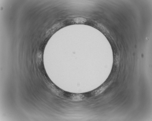 X0000085310321200704092330