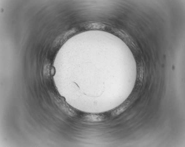 X0000085310326200704092330