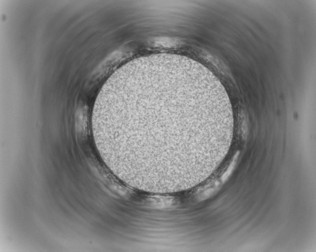 X0000085310328200704092330