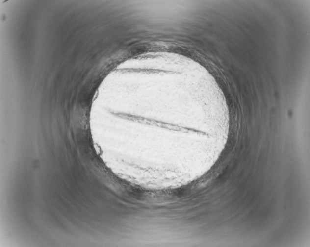 X0000085310331200704092329