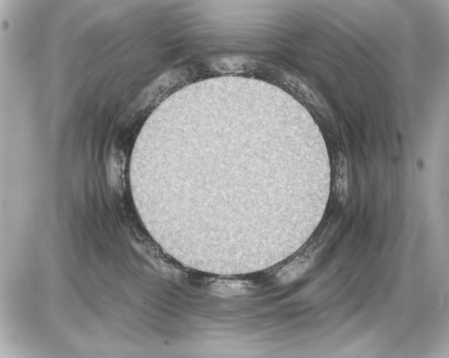 X0000085310332200704092329