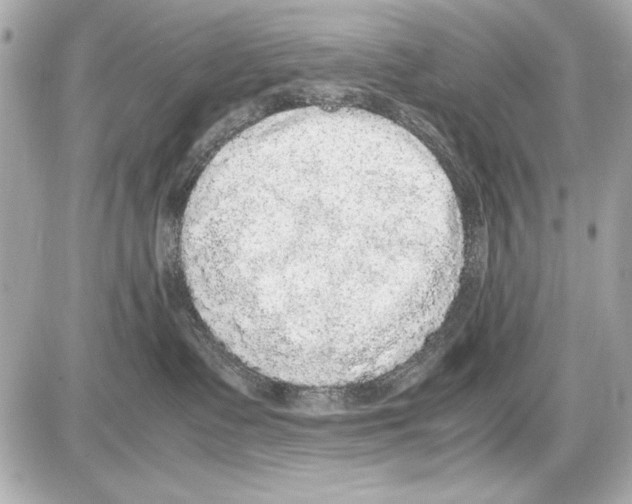 X0000085310335200704092329