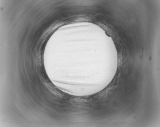 X0000085310339200704092329