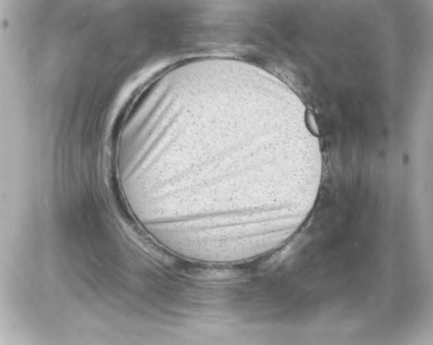 X0000085310342200704092329