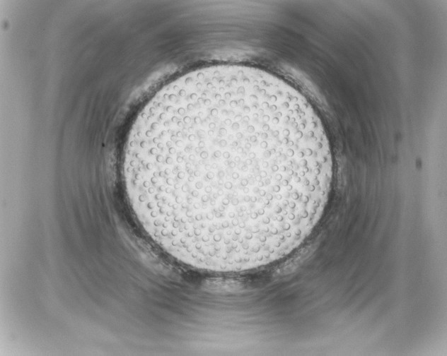 X0000085310354200704092329