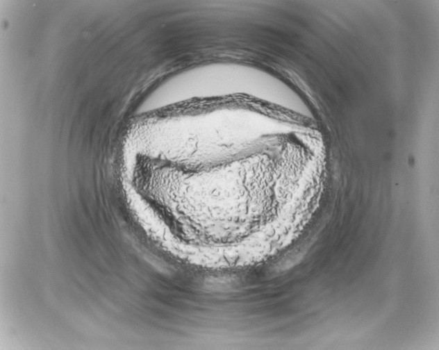 X0000085310357200704092329