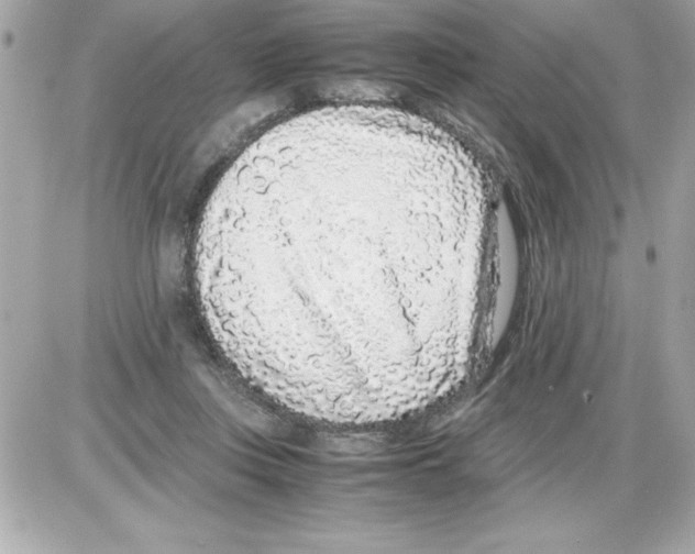 X0000085310359200704092329
