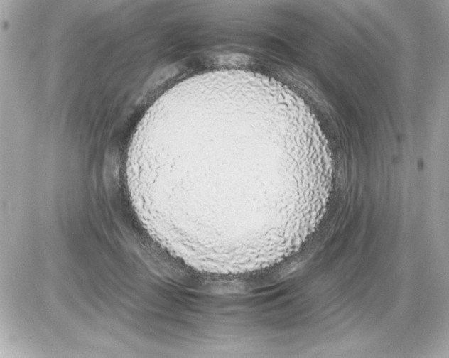 X0000085310363200704092329