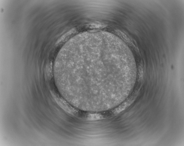 X0000085310376200704092329