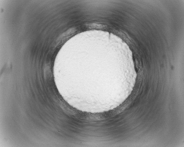 X0000085310377200704092329