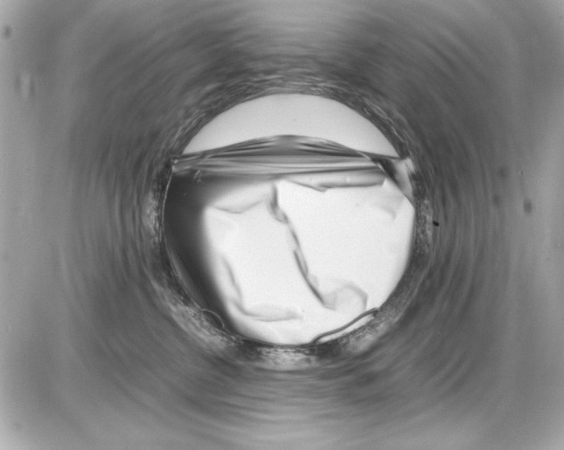 X0000085310380200704092329