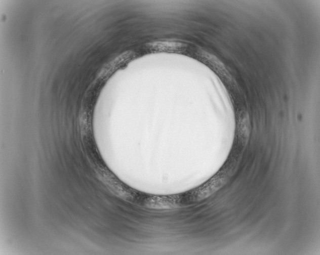 X0000085310381200704092329