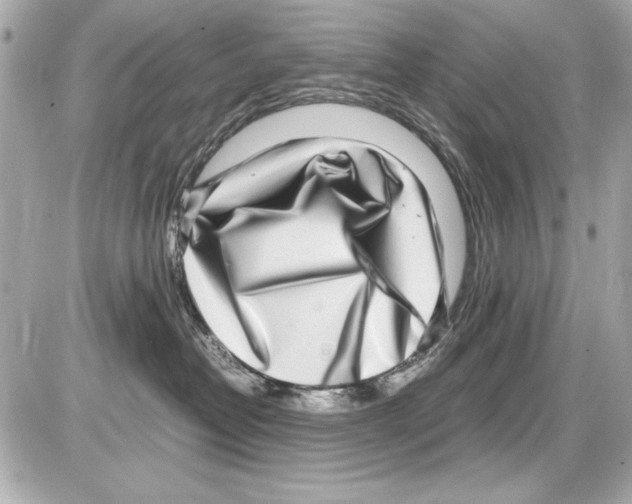X0000085310382200704092329