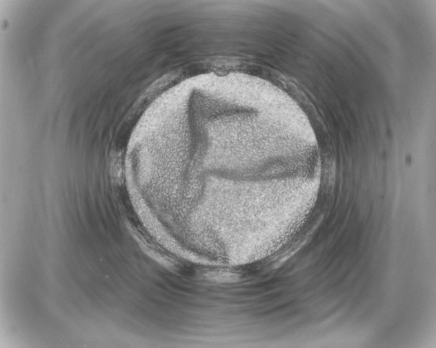 X0000085310383200704092329