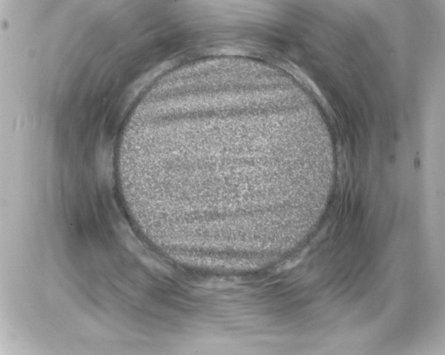 X0000085310386200704092329