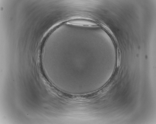 X0000085310387200704092329