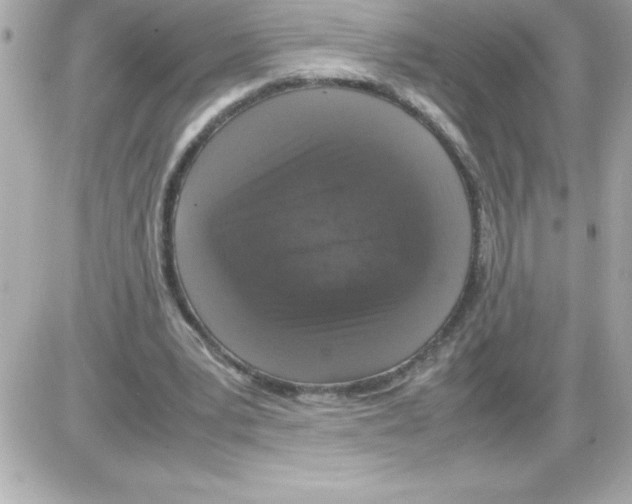 X0000085310391200704092328