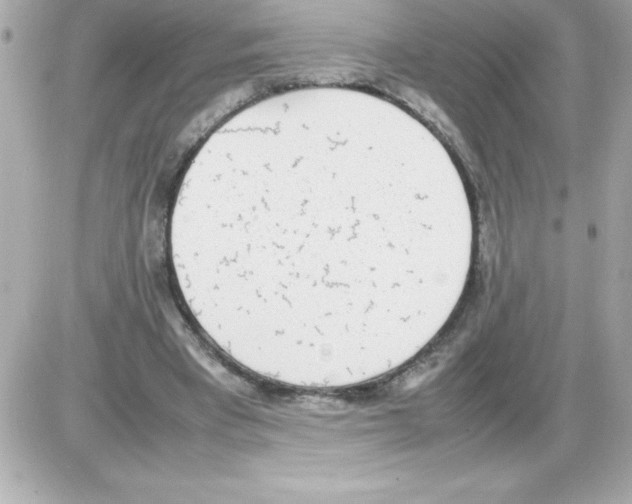X0000085310393200704092328