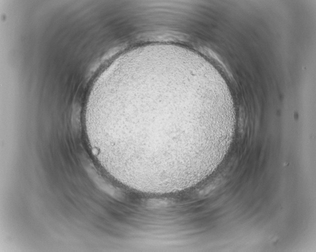 X0000085310394200704092328