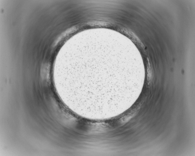 X0000085310396200704092328