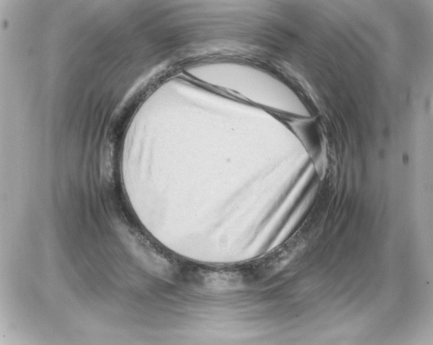 X0000085310400200704092328