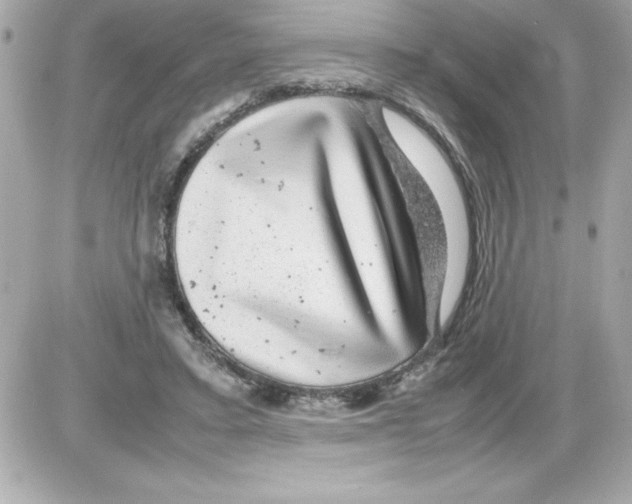 X0000085310403200704092328