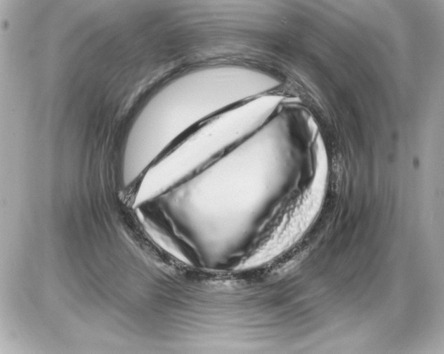 X0000085310404200704092328