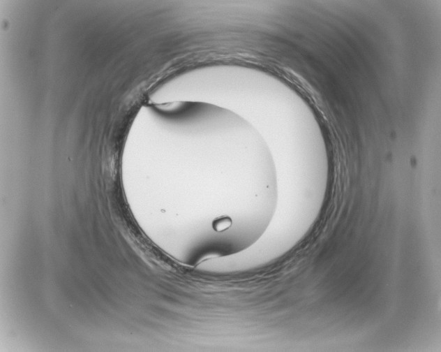 X0000085310405200704092328
