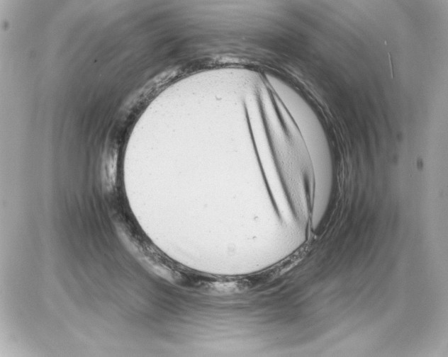 X0000085310406200704092328