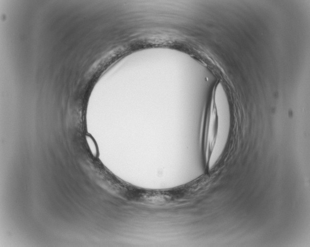 X0000085310407200704092328