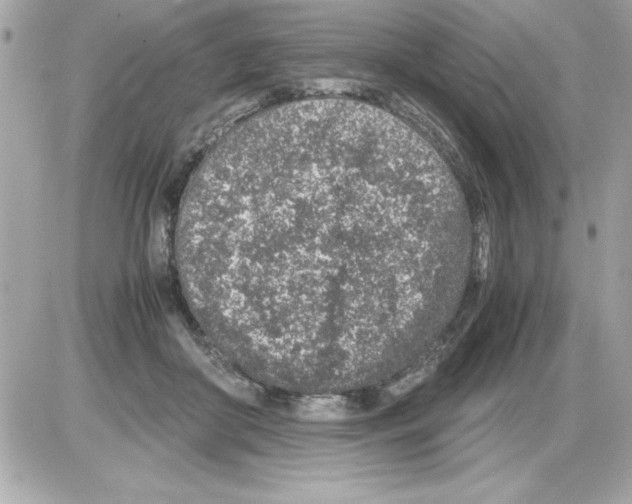X0000085310410200704092328