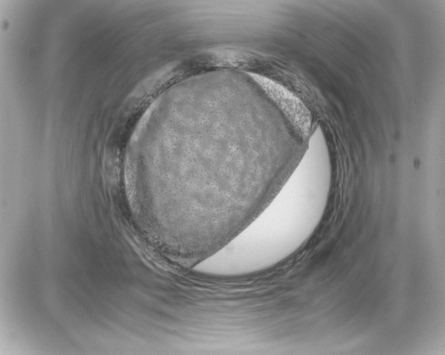 X0000085310413200704092328