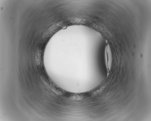 X0000085310416200704092328