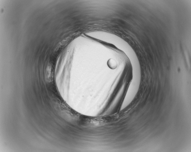 X0000085310420200704092328