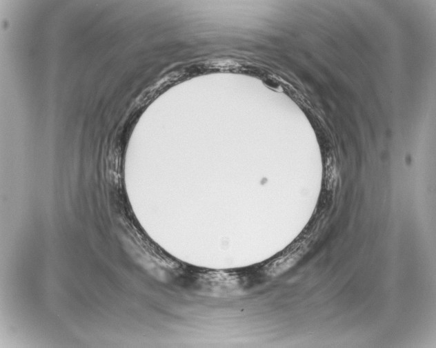 X0000085310421200704092328