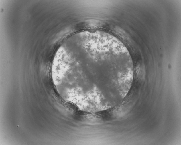 X0000085310423200704092328