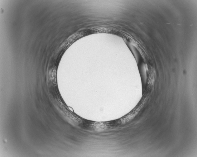 X0000085310425200704092328