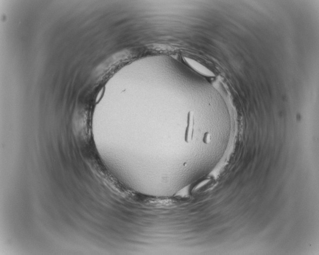 X0000085310428200704092328
