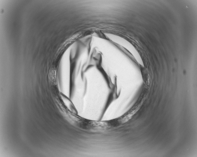 X0000085310429200704092328