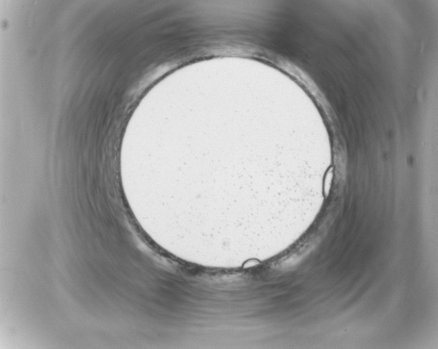 X0000085310433200704092327